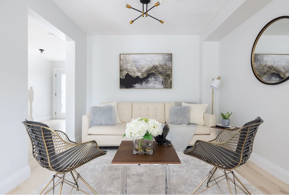 Taxim Sofa, Zebra Chair