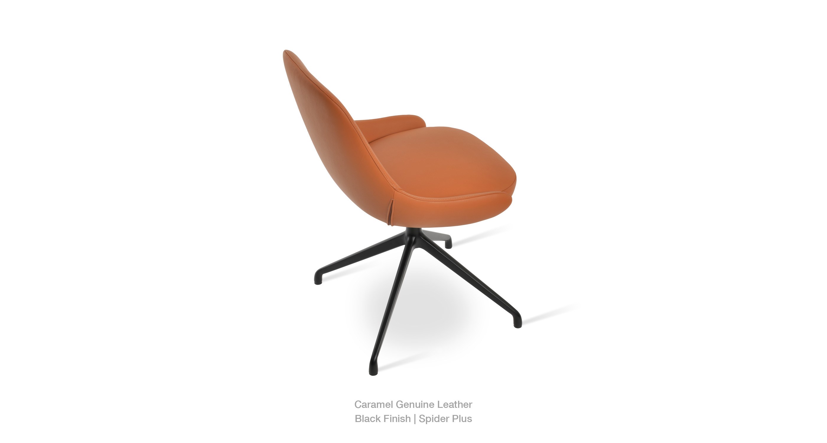 2020 11 01 Gazel Spider Plus Caramel