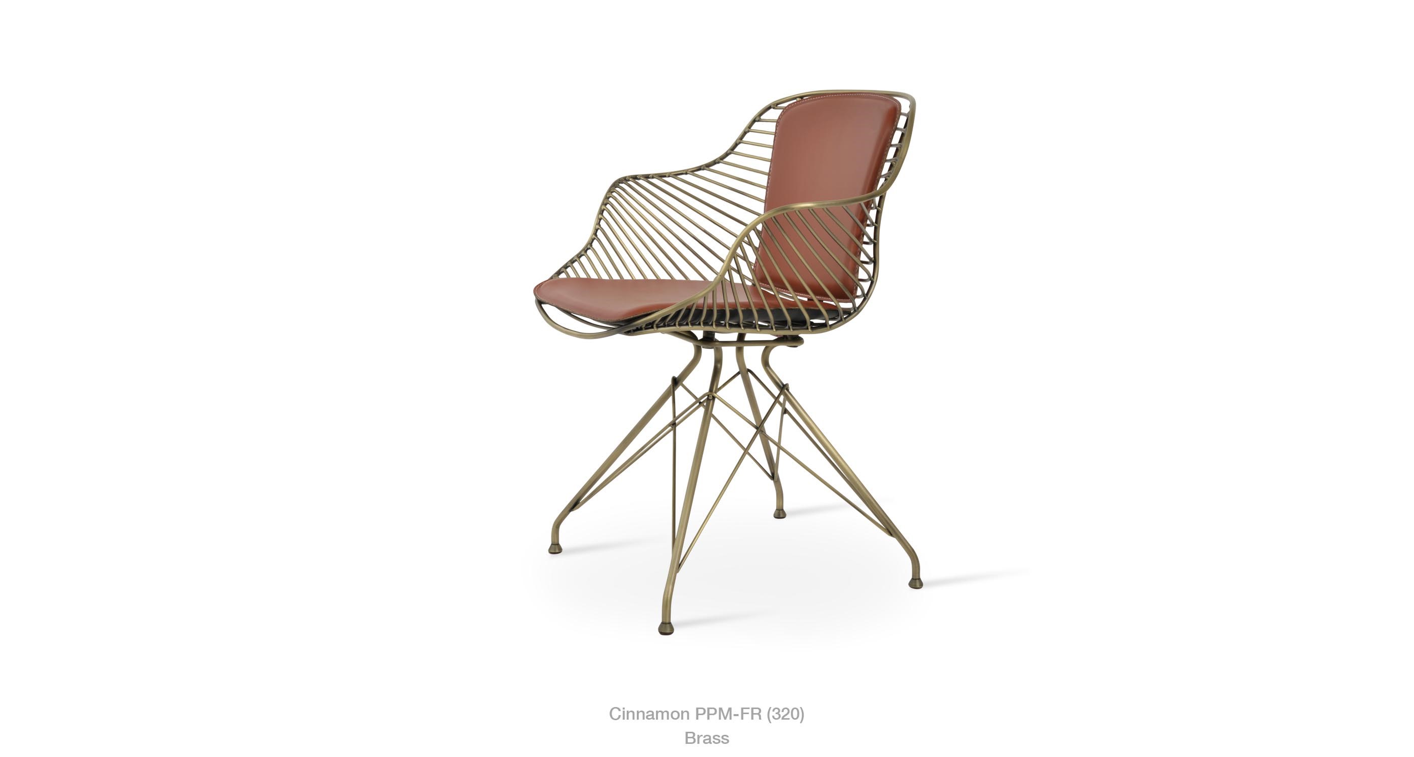 2019 12 16 Zebra Cinnamon