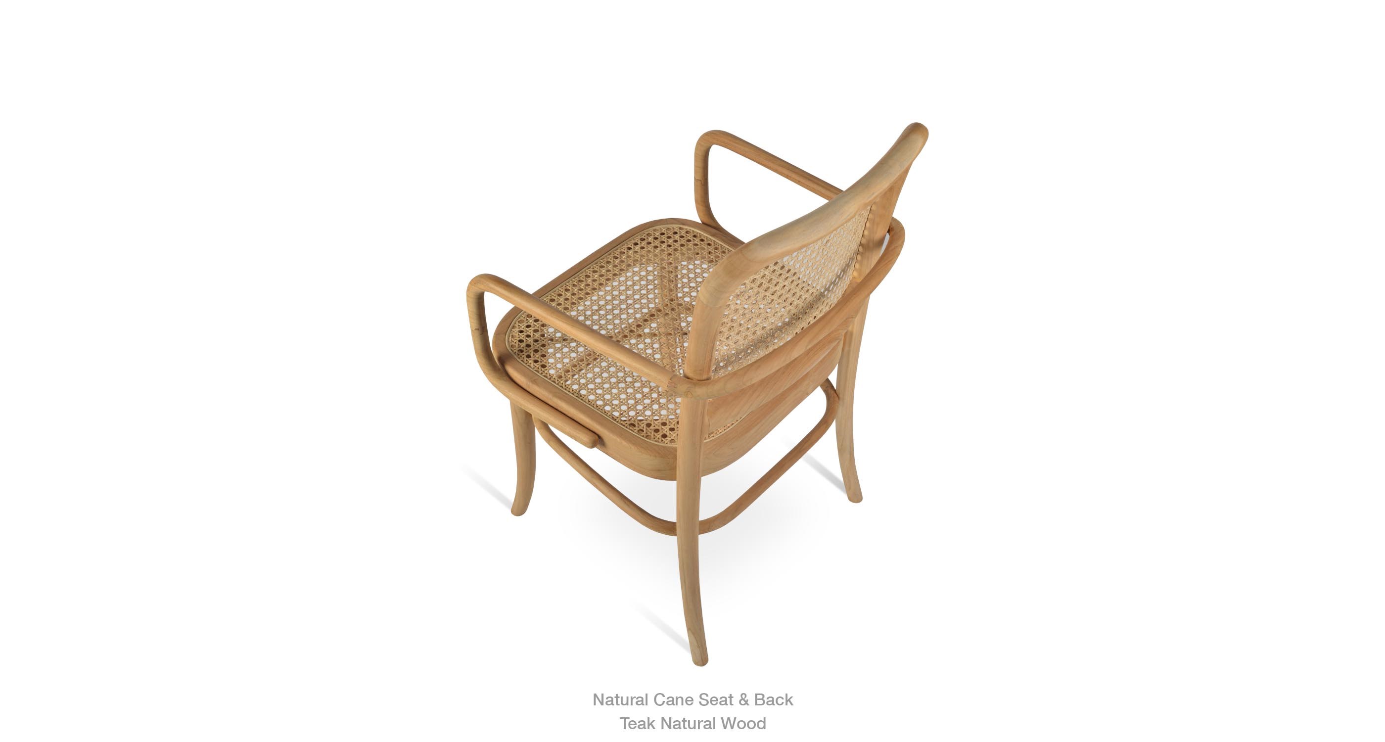 Salvatore Armchair Natural Teak